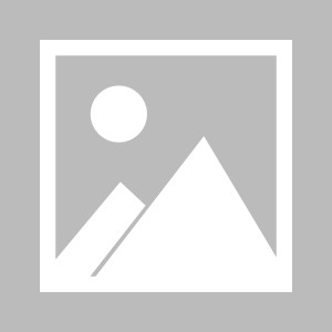 九游体育APP-林良锋：福登一小步，曼城一大步